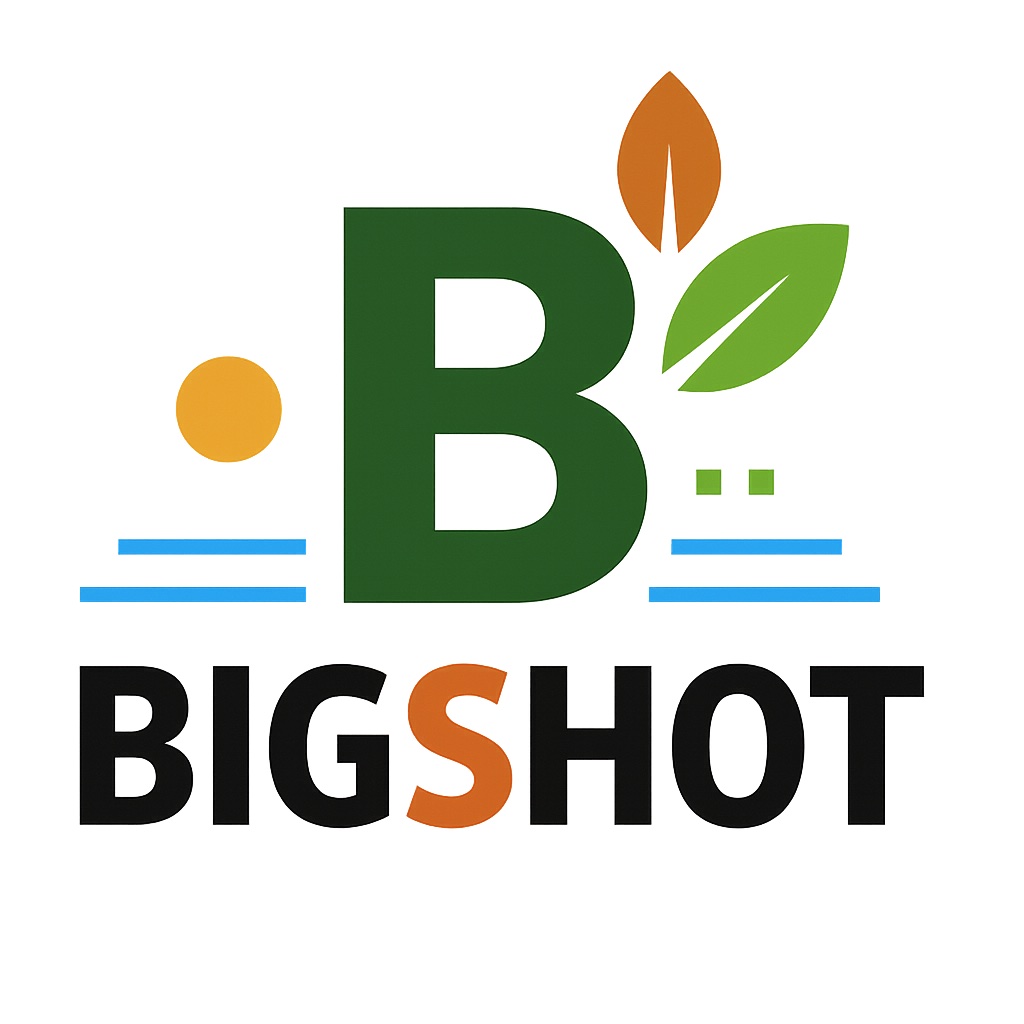 BigShot Agribusiness logo