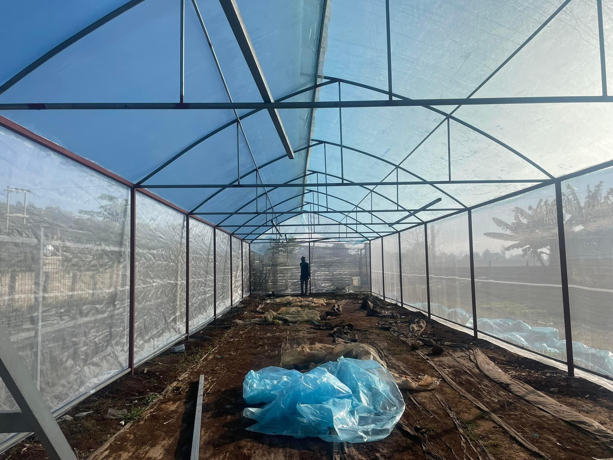 BigShot Green House