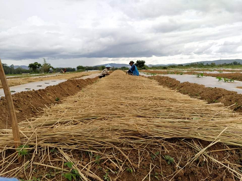 Farm Production