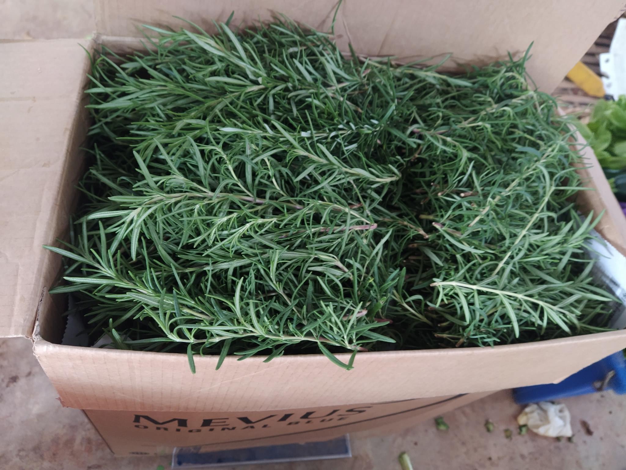 Fresh From the Farm